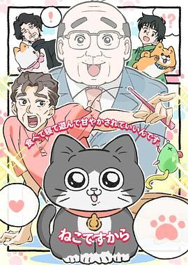 转生成猫的大叔海报