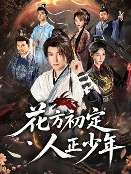 花方初定，人正少年海报